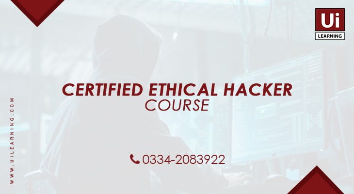 UI Learning Institute offering Certified Ethical Hacker Training Course for IT Professionals